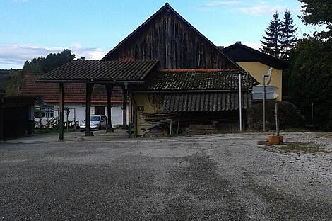 Особняк, недавно основанная ферма Совиче.: 4