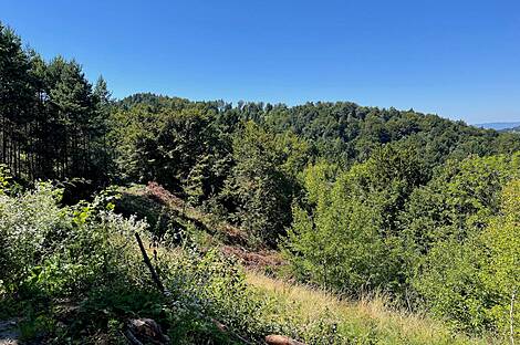 Мыза и хозяйство Верхнее Елене: 9