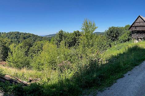 Мыза и хозяйство Верхнее Елене: 11