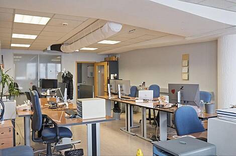 Здание для коммерческих целей Шишка: 6