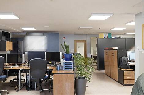 Здание для коммерческих целей Шишка: 9