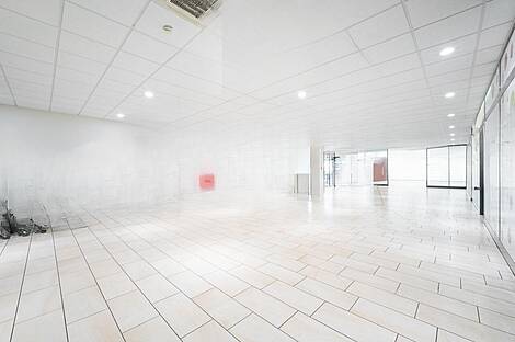 Центровое офисное пространство: 13