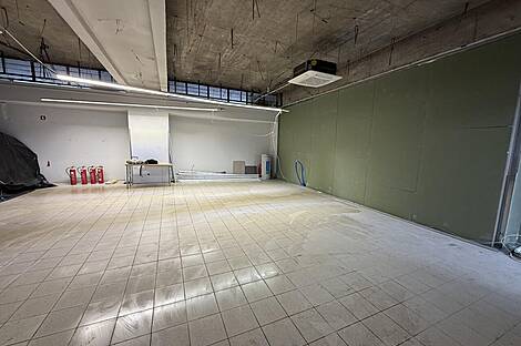 Кабинетное пространство Шишка: 8