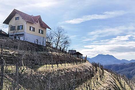 Планско, дом: 1