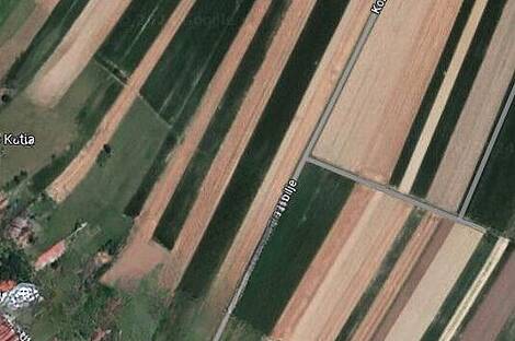 Дом, Кобиле: 6