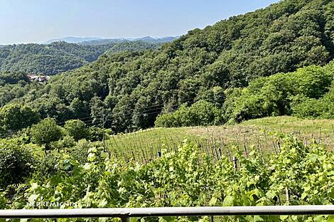 Бельский Врх, дом: 6