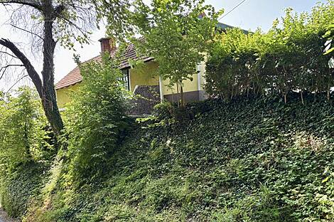 Бельский Врх, дом: 8