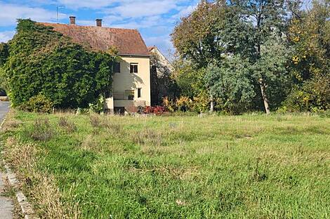 Дом в поселке Середица: 1