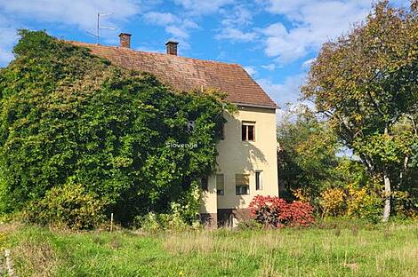 Дом в поселке Середица: 2