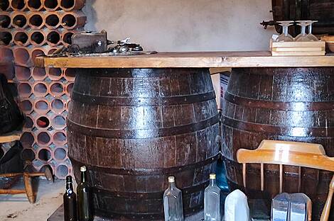 Градник Дом: 11