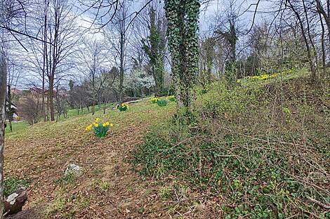 Градник Дом: 13