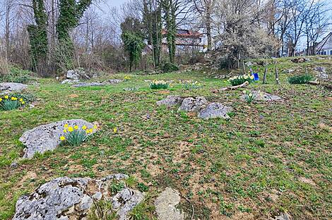 Градник Дом: 14