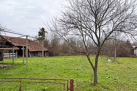 Дом Петишовцев: 4