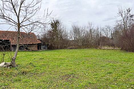 Дом Петишовцев: 5