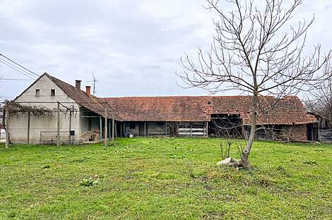 Дом Петишовцев: 8