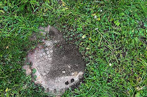 Дом Петишовцев: 10