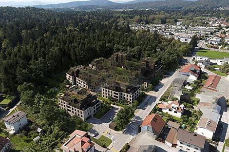 Квартира с более чем 5 комнатами в Кошезе: 1