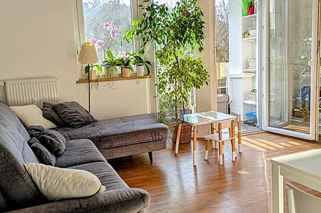 Дом 4 комн. Новый Шишкино: 12