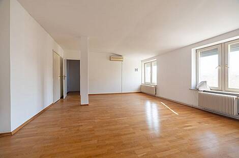 Трёхсполовинойкомнатная квартира в Белграде: 2