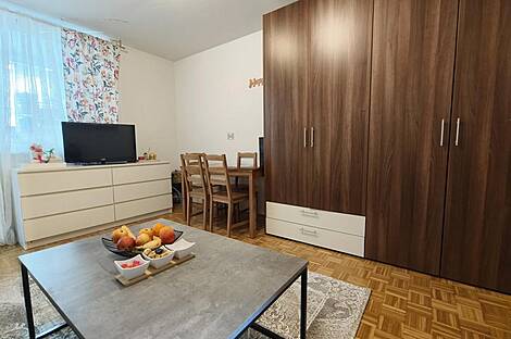 Студия в районе Ново Дравле, квартира: 1