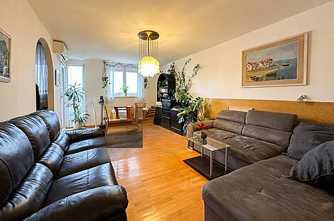 2-комнатная квартира, ЛШ Шишка: 1