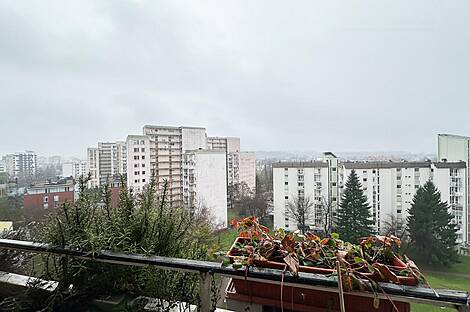 2-комнатная квартира, ЛШ Шишка: 11