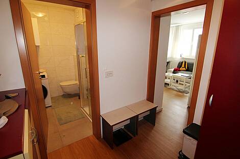 Апартаменты в центральной части Любляны: 5