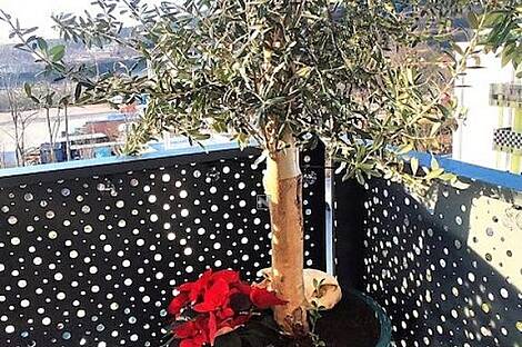 Квартира с двумя комнатами в Новой Козине: 6