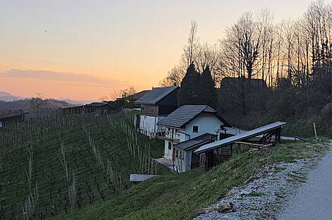 Жилище, Древеник: 1