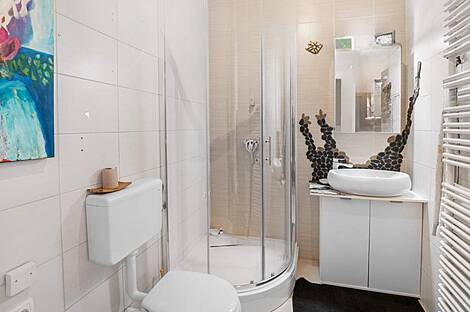 Квартира-студия в Новой Козине: 5