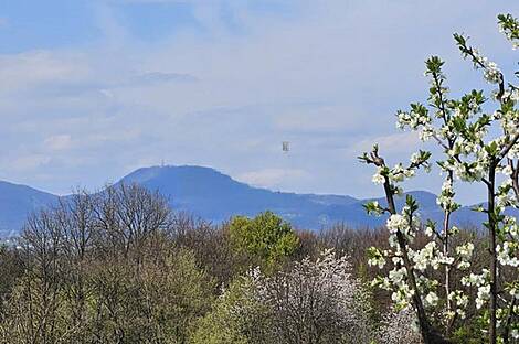 Комплекс для домашнего хозяйства Видовица: 5