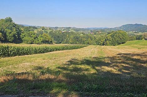 Комплекс для домашнего хозяйства Видовица: 6