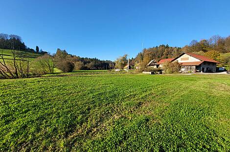 Метель 

Имение Новое Раковецкое Хозяйство.: 1