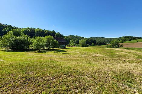 Метель 

Имение Новое Раковецкое Хозяйство.: 4