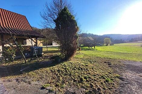 Метель 

Имение Новое Раковецкое Хозяйство.: 8