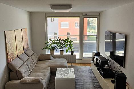 2,5-комнатная квартира в Любляне: 1