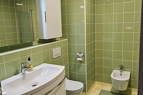 2,5-комнатная квартира в Любляне: 9