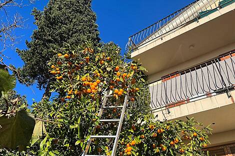 Дом в Портороже: 14