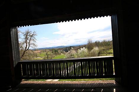 Дом 'Ферма Новый Шентвид в Стичне': 29