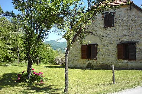 Усадьба, агроусадьба Тополе, Текацево.: 8