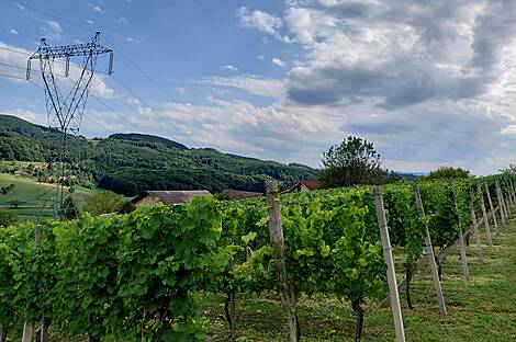 Дом Кметияново, Подсреда: 13