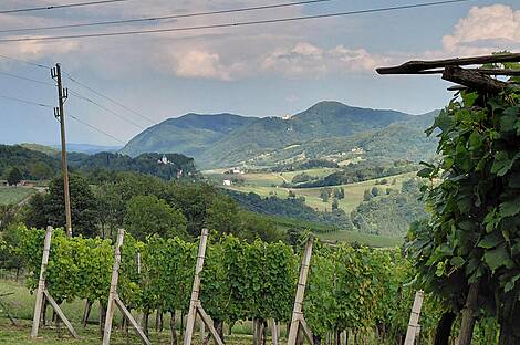 Дом Кметияново, Подсреда: 14