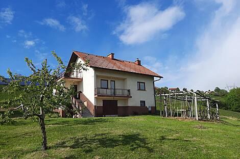 Дом Кметияново, Подсреда: 15