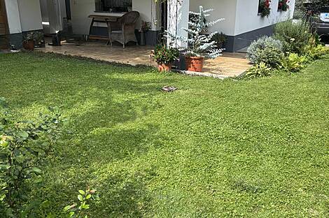 Трёхкомнатная квартира в Добруне.: 8