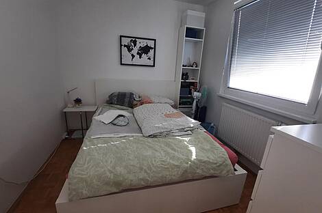 Квартира в Новая Шишка: 4