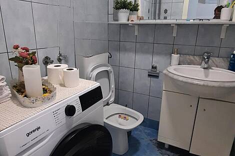 Квартира в Новая Шишка: 7