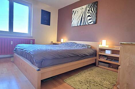 3-комнатная квартира Шишка: 6