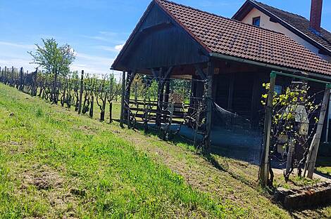 Усадьба Ново Радец, Йесенице-на-Доленьском: 5