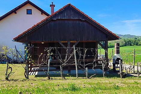 Усадьба Ново Радец, Йесенице-на-Доленьском: 6