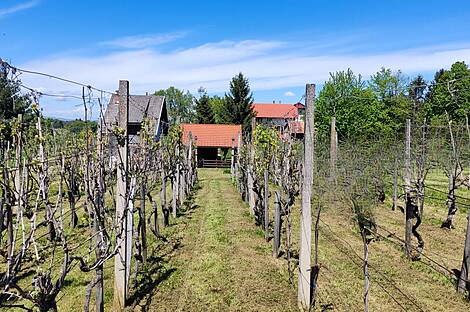Усадьба Ново Радец, Йесенице-на-Доленьском: 10